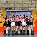 유니스 뉴스1