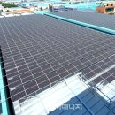 이영호 태양광 발전소 이미지
