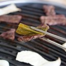 애견프라자 이미지