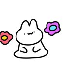 다레젤라또