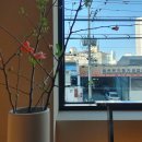 솔로몬자동차공업사 이미지