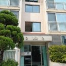 목동중앙로 이미지