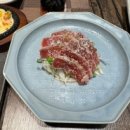 카메참치 이미지