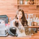 고양이에정원 이미지