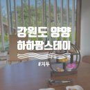 하하팜스테이 | [강원도/양양] 사진찍기 좋고 조용한 자연 속 힐링카페 ,하하팜스테이 (내돈내산후기, 예약방법, 메뉴)