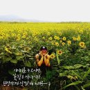 피자리오시오 | 나폴리 피자 끝판왕!! 13년 유학파 달인의 장작 화덕 피자, 대치동 피자 맛집 피자리오 시오!!