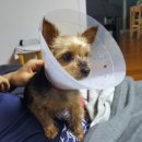 우암동물병원 이미지