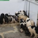 해안도로주유소 이미지