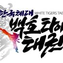백호타이거즈태권도 이미지