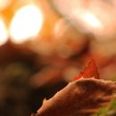 지혜네 세탁소 이미지