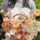 수피오레 이미지