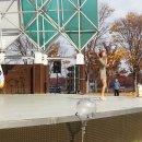 강촌바일마을 이미지