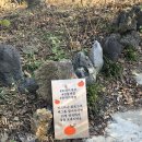 성산 애견농장 네이버블로그