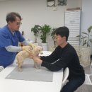 지금 이미지