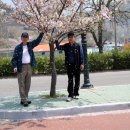 각남초등학교 이미지