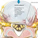 뉴신길한의원 이미지