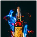 트레이스(Trace) 이미지