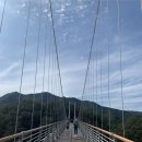 팔공 수제돈까스 이미지