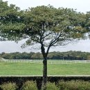 은혜사슴목장 이미지