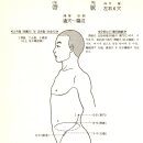 대맥 이미지