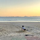 송정솔바람해변2 | 남해 바다 앞 캠핑장 송정솔바람해변캠핑장