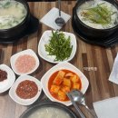 [진주/호탄동] 새로 오픈한 백세돼지국밥 후기