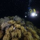 한국해양수조공사 이미지