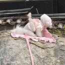 오읍(북산)약수터 이미지