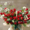 마이티멜로우