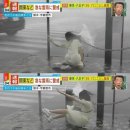 태풍에 넘어지는 일본눈나 이미지