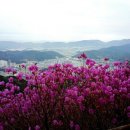 마산 이마트건너편 이미지