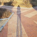 상상진화 이미지