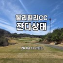 힐리 | ⛳웰리힐리CC 라운드 후기 (잔디상태)