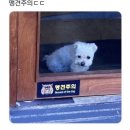 2025년 5월(토마토코어 일기🍅/망원나드리❤️‍🔥)