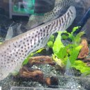 로얄수족관 이미지