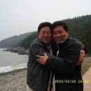 고흥봉황정 Daum카페