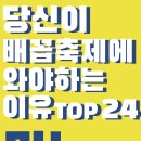 와야24