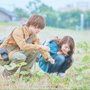 식물도감 이미지