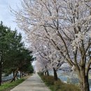 강성주복싱 칠금점 이미지