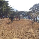 4월6일 한식 충주동정공파 영묘당 주변 잔듸 식재 및 유가네모임개최 이미지