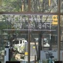 인천 송도 카페 감성커피 제티딸기슈페너 내돈내산 솔직후기