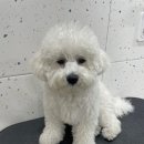 몽이미용실 이미지