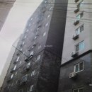 소로 3-916 이미지