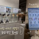 [디어밸런스 강남점]아치깔창 | 기능성 깔창 상담 후기🩷