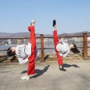 단국대스타태권도장 이미지