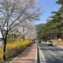 송해공원둘레길 이미지