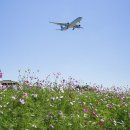 하늘정원1 이미지