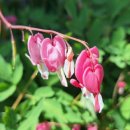 갑장사등산로 이미지