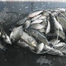 송석낚시터 이미지