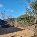 마롱스테이 이미지